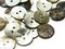24 15mm Mother of Pearl Shell Buttons Natural Round Two Hole Buttons